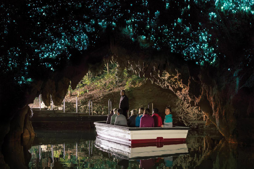 کرم های شب تاب چلچراغ غارهای وایتوموی نیوزیلند