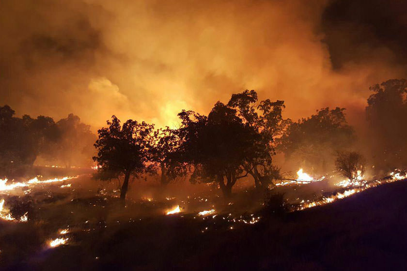 آتش سوزی گسترده در جنگل های گیلان