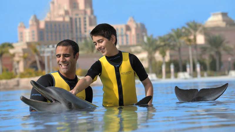 نوازش دلفین ها در دلفین بی (Dolphin Bay) 