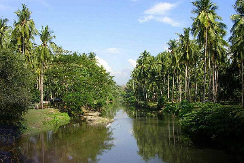 نخسلتان آبادان