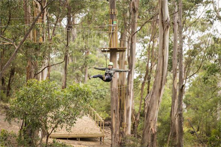 اولین پارک زیپ لاین استرالیا افتتاح شد