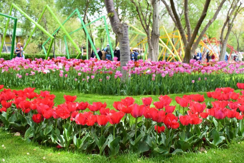 برپایی جشنواره نوروزی لاله ها در باغ گل های کرج