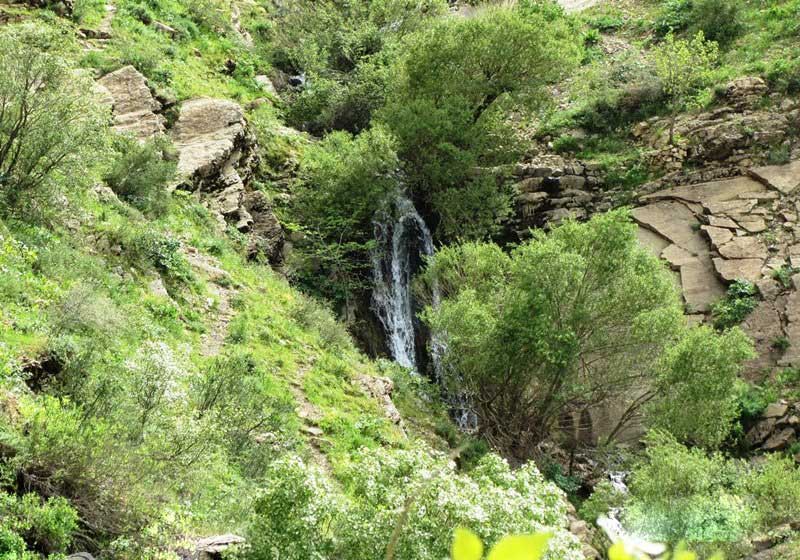طبیعت سرسبز بهاری آبشار شیلماو