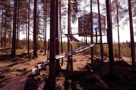اقامت در اتاق نامرئی هتل درختی در سوئد