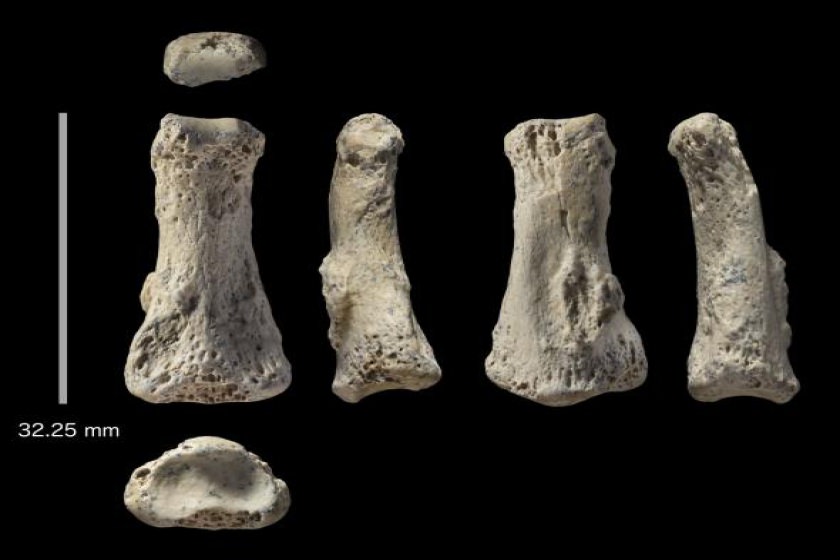 کشف استخوان ۸۸۰۰۰ ساله در عربستان سعودی