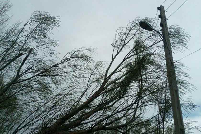 افزایش سرعت وزش باد در پیرانشهر