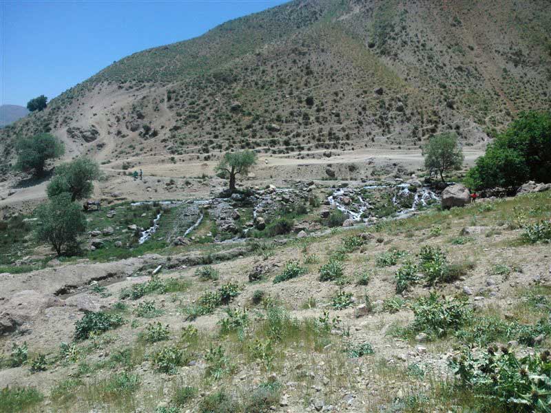 چشمه سراب کرتول در دشت های بروجرد