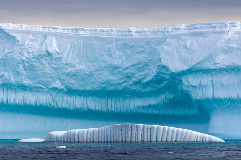 زندگی پنهان زیر یخ های قطب جنوب