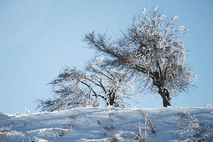 بارش برف در آذربایجان غربی و کندی تردد در برخی محورها