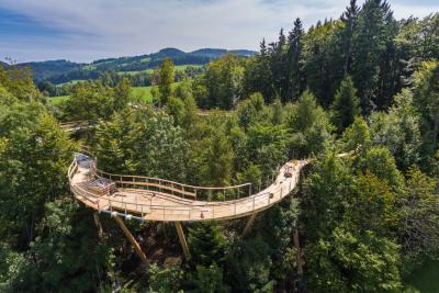 سوئیس اولین مسیر راهپیمایی درختی خود را افتتاح کرد