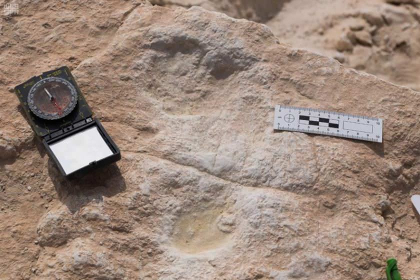 رد پاهای ۸۵۰۰۰ ساله؛ شاهدی بر سرآغاز مهاجرت انسان