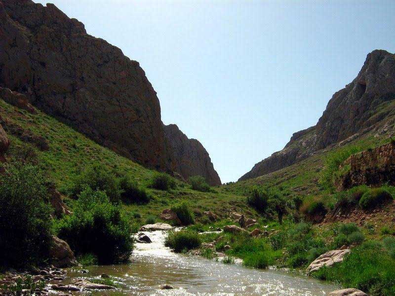 چشمه های خروشان و دشت سرسبز در منطقه گردشگری ازناو