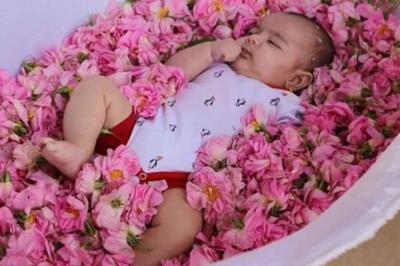 جشنواره گل غلتان: میزبان نوزادان در دامغان