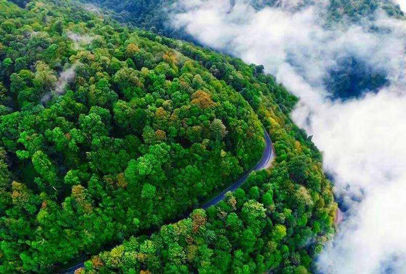 درختان جنگل و ابر در جاده گردشگری اسالم به خلخال