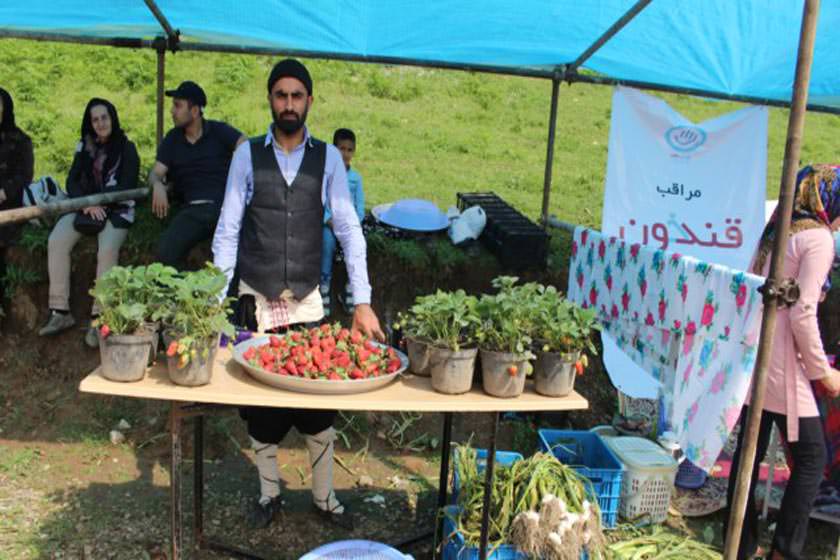 برگزاری ششمین دوره جشنواره توت فرنگی در روستای شفیع آباد فندرسک گلستان 