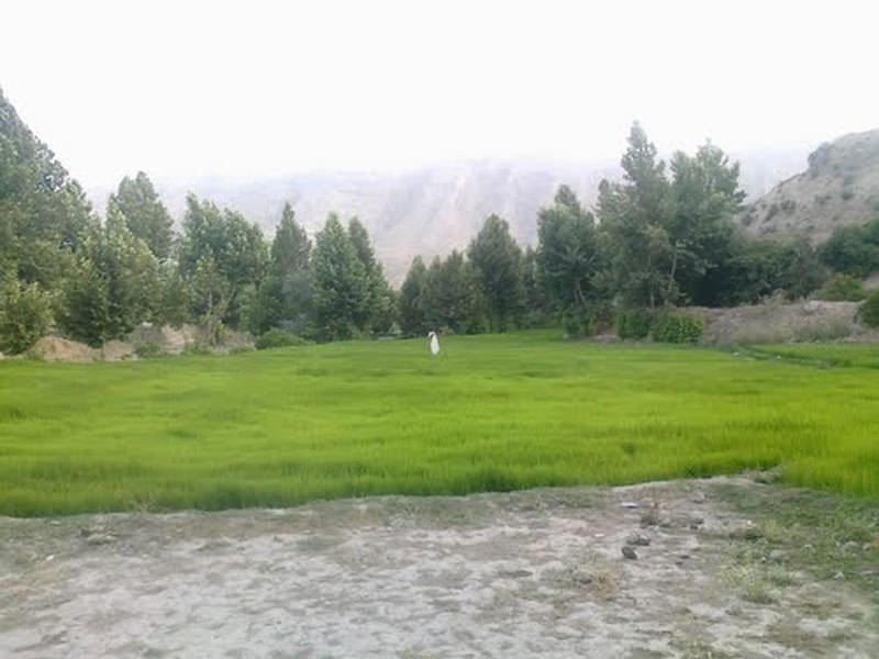 روستای رودبال