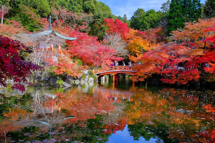 بهترین زمان سفر به کیوتو؛ معجزه نفسگیر چشم‌اندازها در ژاپن