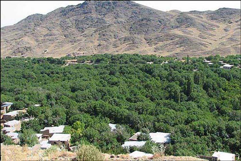 روستای کهک قم