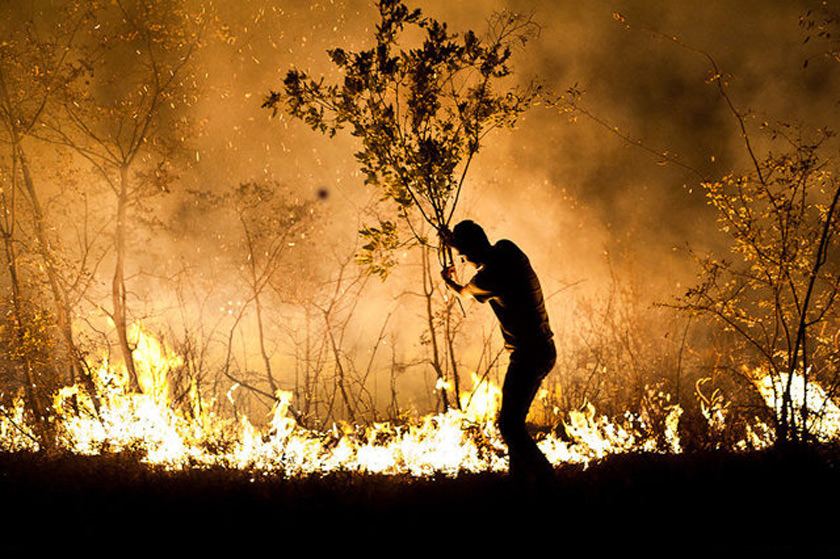 ۱۰ هکتار از پارک ملی کرخه در آتش سوخت