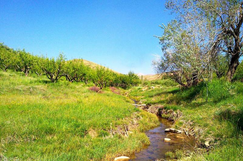 جویبارها و طبیعت روستای قره قاچ