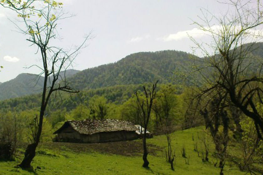 کنوس چال کجاست؟