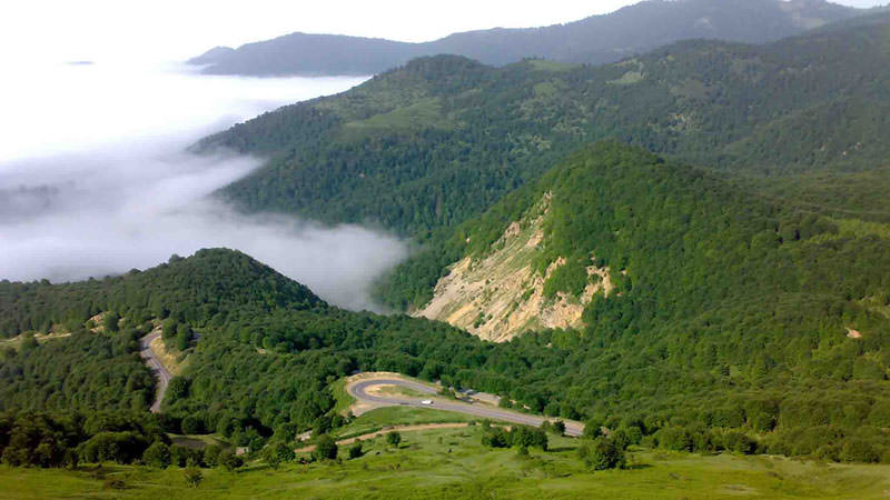 منطقه شکارممنوع دیلماندرختان سرسبز و جنگل ابری 
