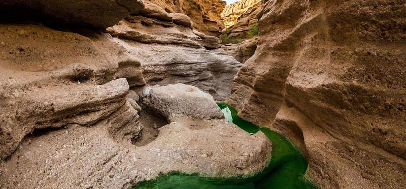 کال جنی طبس