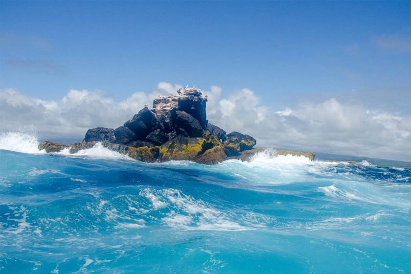 نتیجه تصویری برای جزایر گالاپاگوس