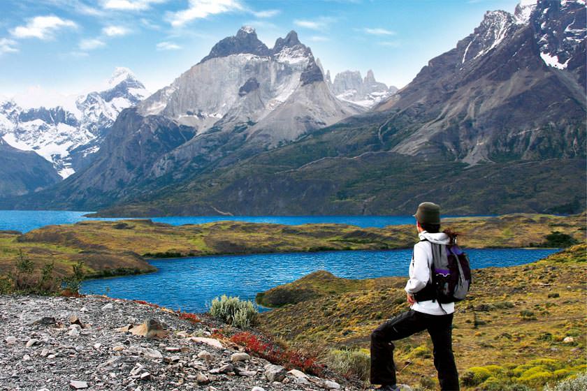 چرا سافاری در شیلی فرصتی منحصربه‌فرد است؟