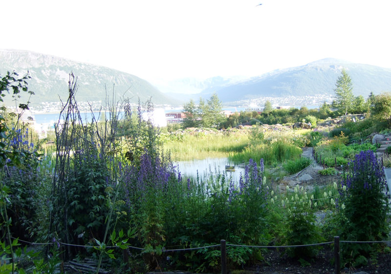باغ گیاه شناسی ترومسو نروژ