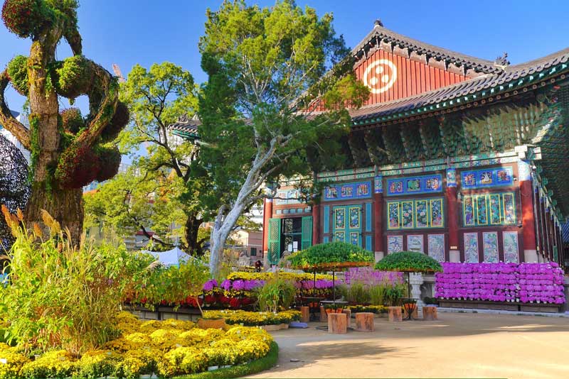 گیاهان زینتی در معبد جوگیسا سئول، کره جنوبی