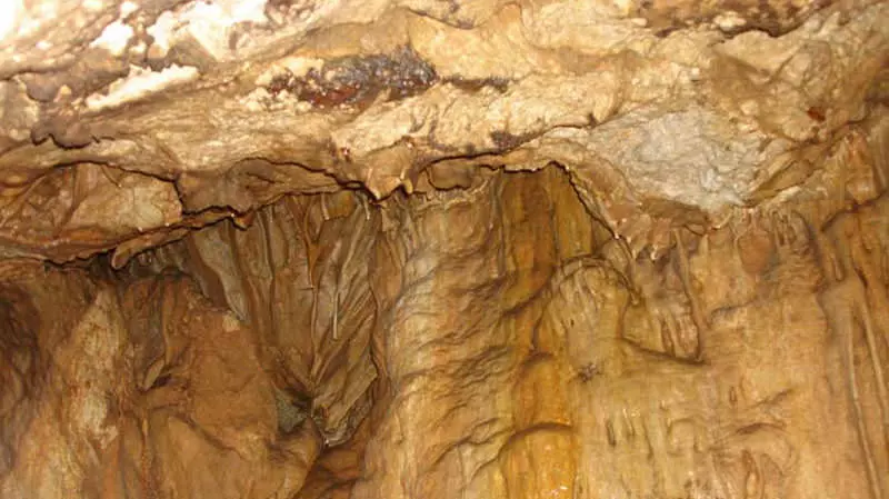حکاکی های و سنگ نوشته های باستانی غار شوی بانه