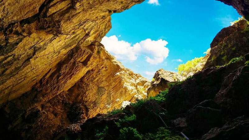 گیاهان و منظره آفتابی غار بونیک