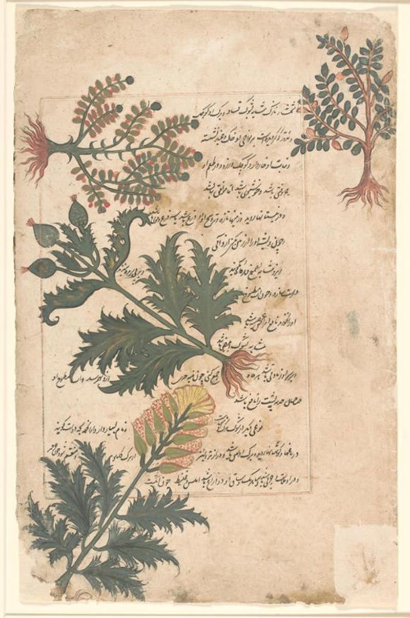 موزه تمدنهای آسیایی سنگاپور
