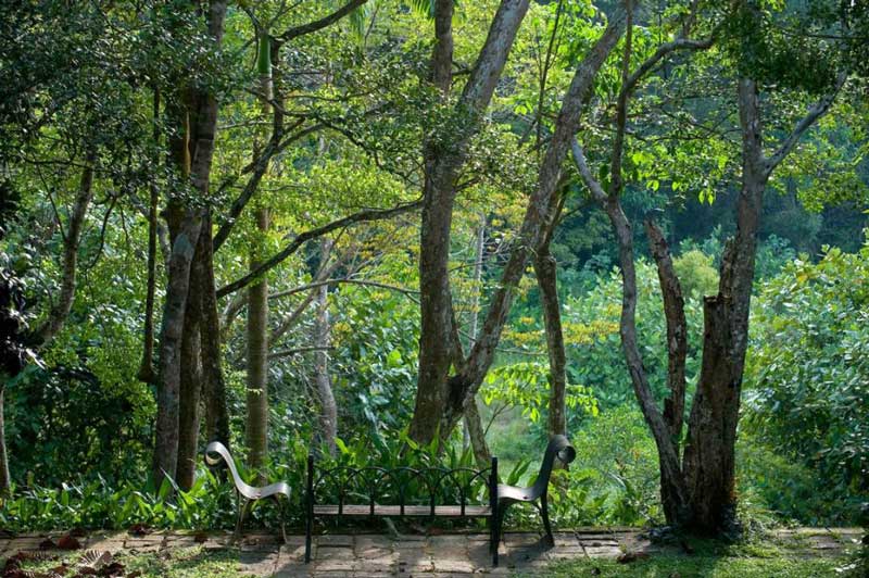 باغ لونوگانگا و نیمکت بنتوتا، سریلانکا