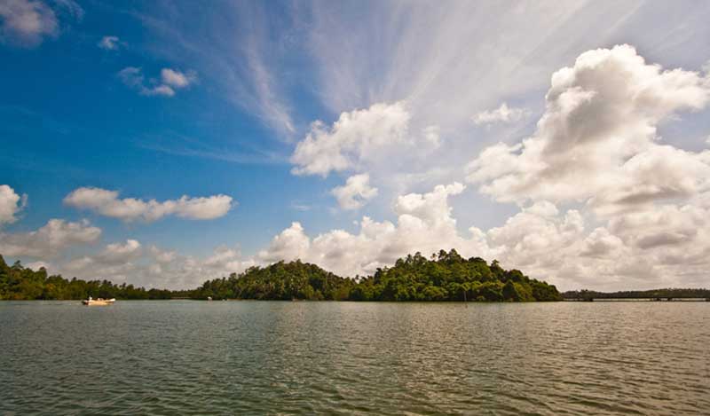قایق پارویی در حال رفتن به جزیره سینامون بنتوتا، سریلانکا