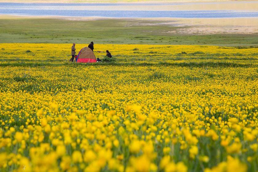 دریاچه نئور؛ آشنایی با مقاصد تورهای طبیعت گردی ایران