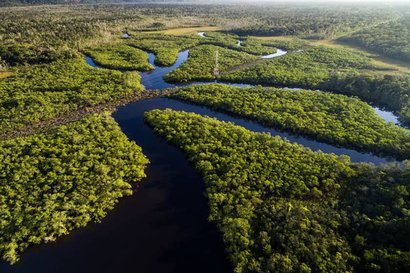 آیا جنگل‌های آمازون به زودی به مرحله برگشت‌ناپذیری می‌رسند؟