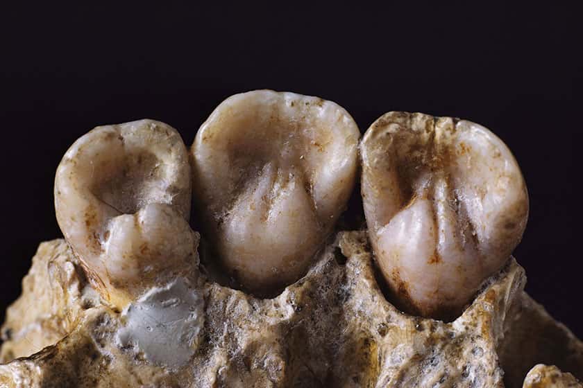 دندان انسان نئاندرتال کرمانشاه در رده اکتشافات باستان‌شناسی دنیا