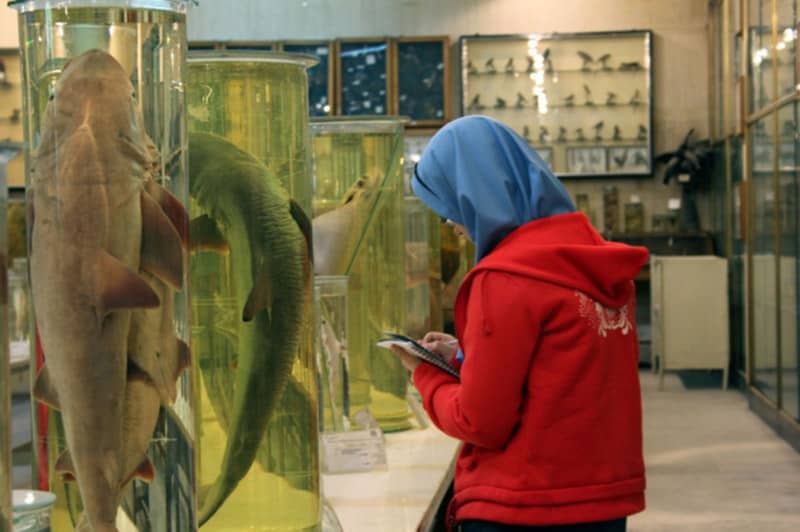 موزه جانورشناسی دانشگاه تهران