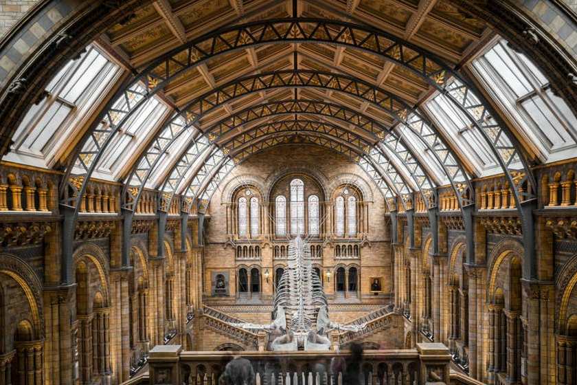 دنیایی از شگفتی در ۱۲ موزه برتر لندن