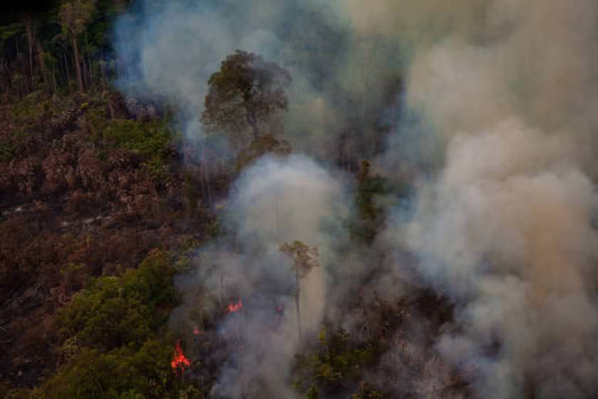 جنگل‌زدایی و آتش‌سوزی‌های آمازون در تابستان ۲۰۱۹ عادی نبود