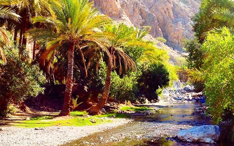 مقاصد غیرتوریستی 
