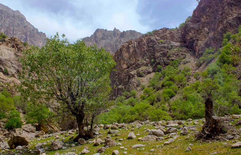 دره عشق
