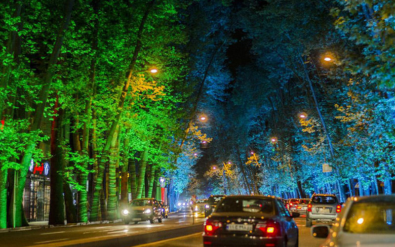 درختان چنار و نورپردازی شبانه در ولیعصر تهران