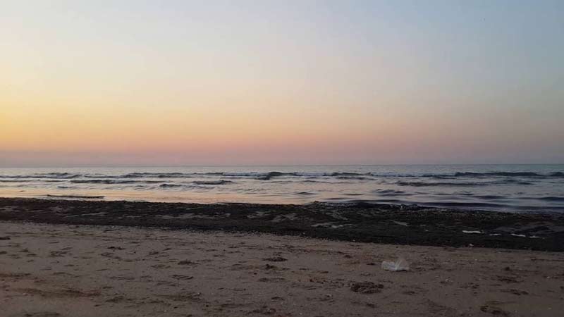 پیرشاغی جمهوری آذربایجان