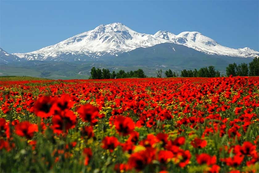 کوه سبلان در مسیر ثبت جهانی قرار گرفت