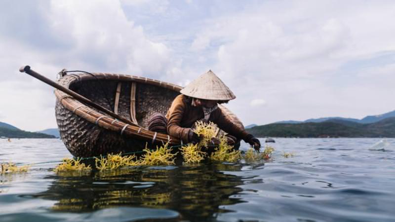 ۷ دلیل برای سفر به هویی آن یکی از زیباترین شهرهای ویتنام