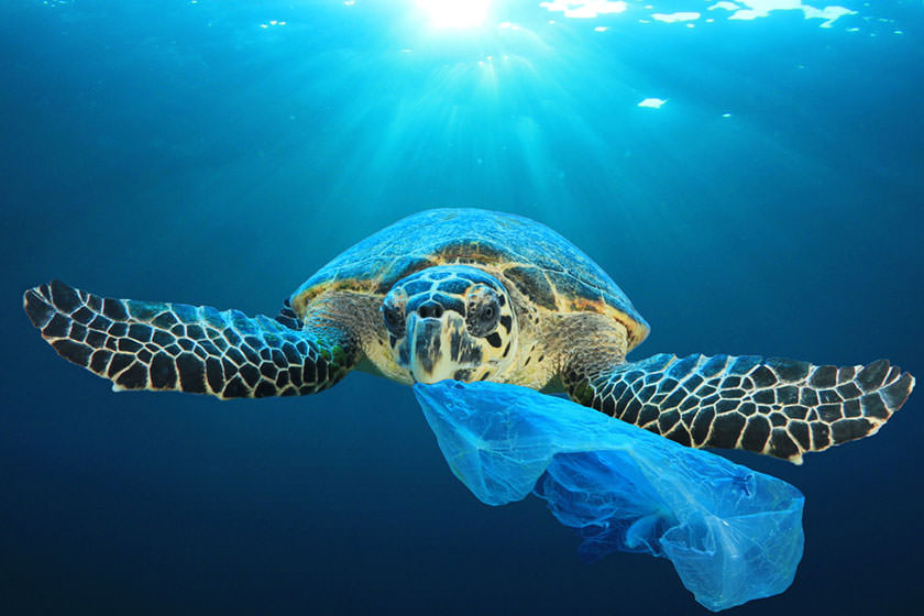 کشورهای گروه ۲۰ برای مقابله با پسماندهای پلاستیکی به توافق رسیدند