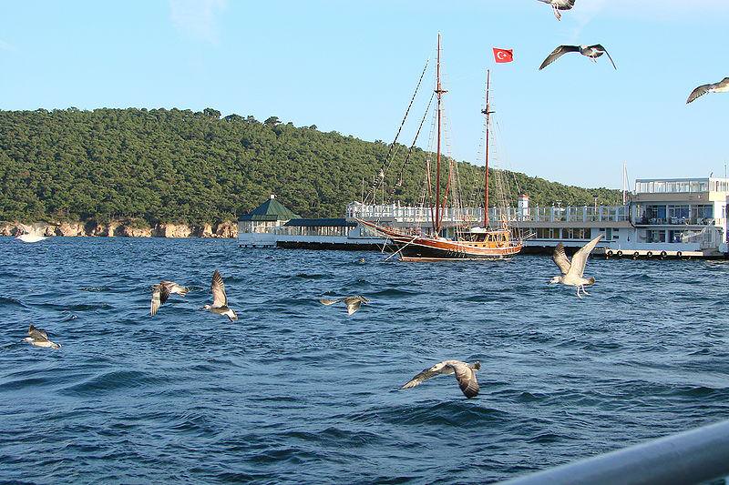مرغ های دریایی و قایق بادبانی در استانبول